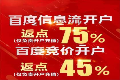 案例解析：关键词竞价排名策略调整